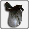 Plants: image 16 0f 23 thumb