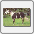 Plants: image 19 0f 23 thumb